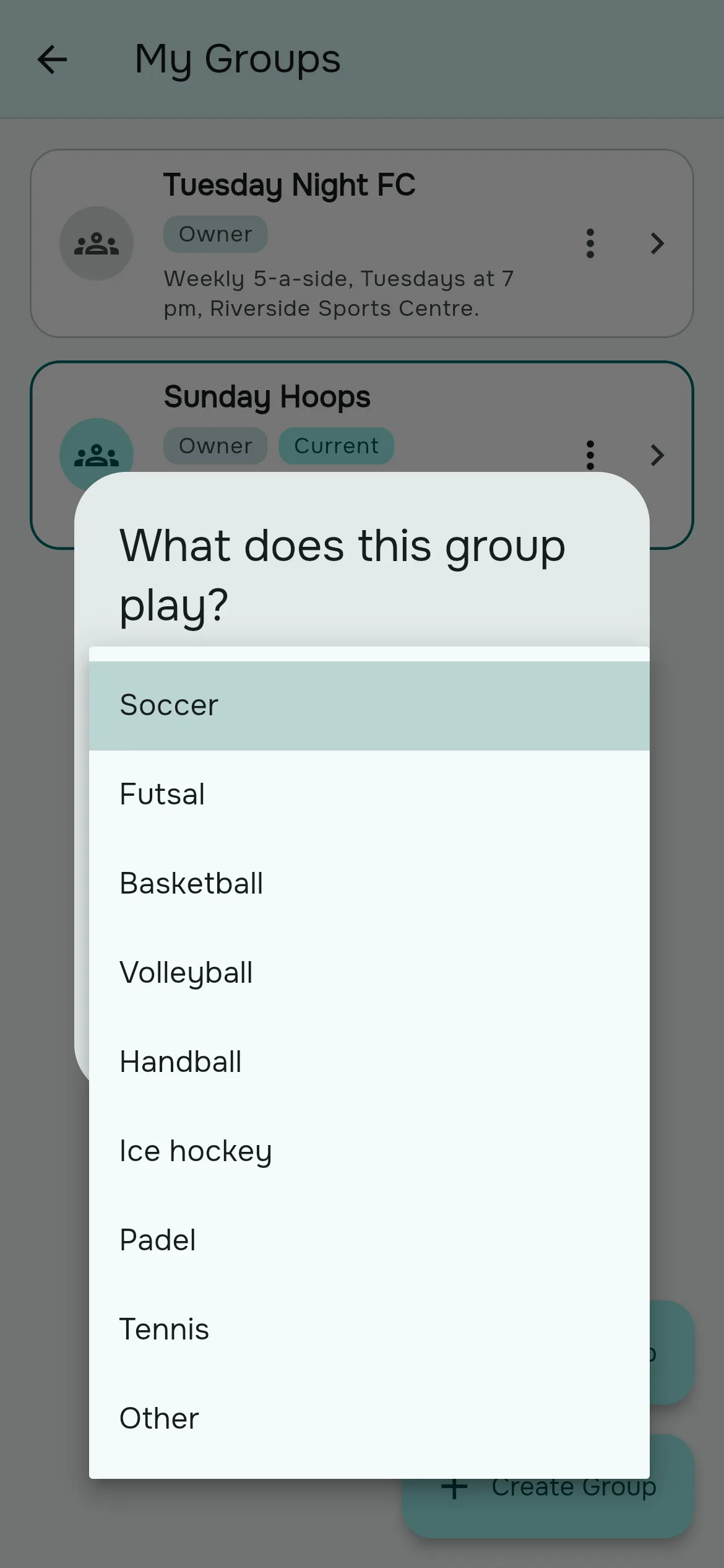 The What does this group play? dialog with the sport list open